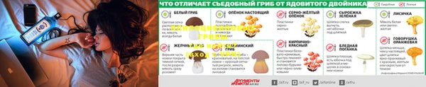 скорость Баксан
