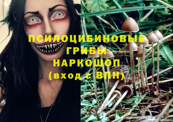 меф Балахна