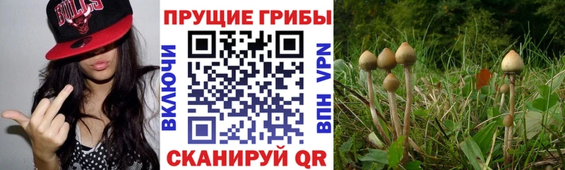 Галлюциногенные грибы мухоморы купить закладку blacksprut зеркало Бор