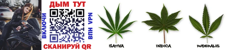 Канабис White Widow  магазин продажи наркотиков  Бор 